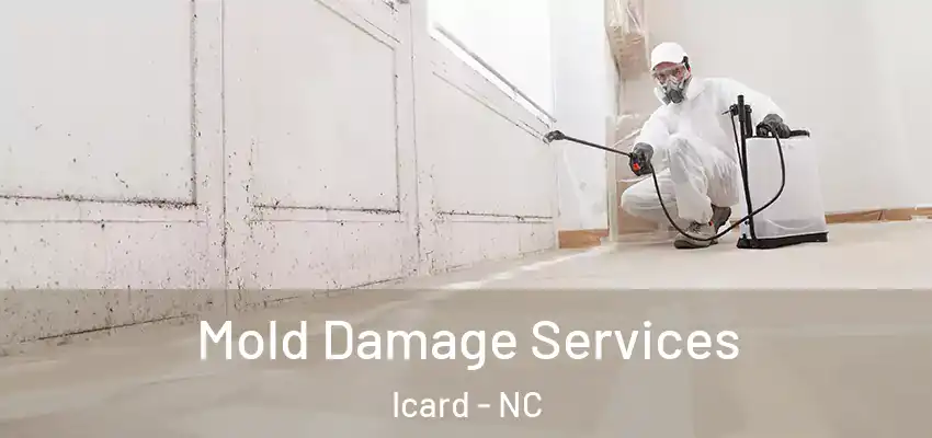 Mold Damage Services Icard - NC