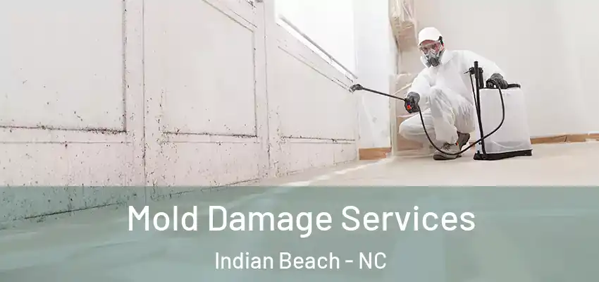  Mold Damage Services Indian Beach - NC