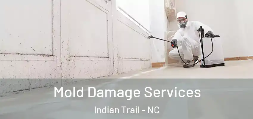 Mold Damage Services Indian Trail - NC
