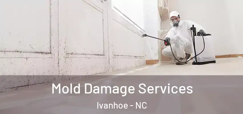Mold Damage Services Ivanhoe - NC