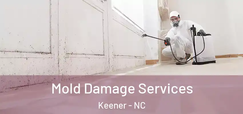  Mold Damage Services Keener - NC