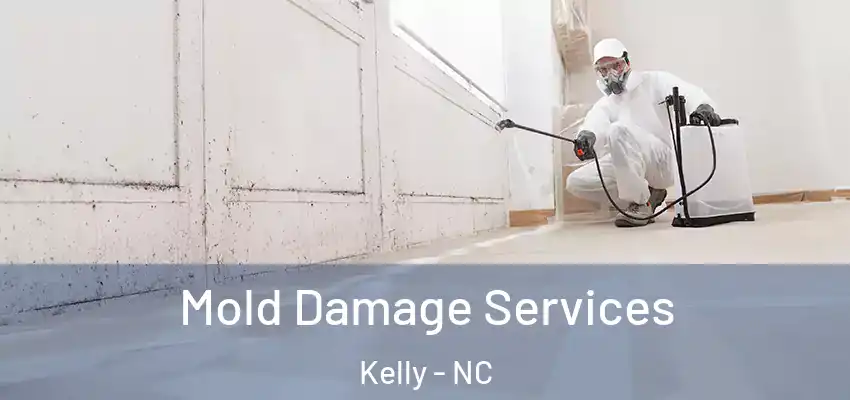 Mold Damage Services Kelly - NC