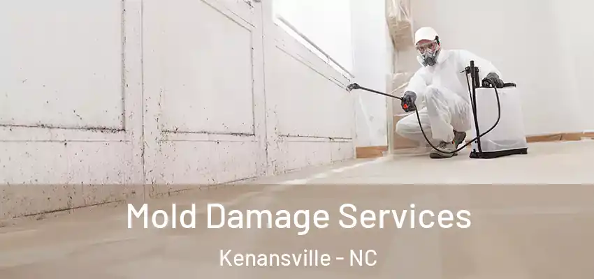 Mold Damage Services Kenansville - NC