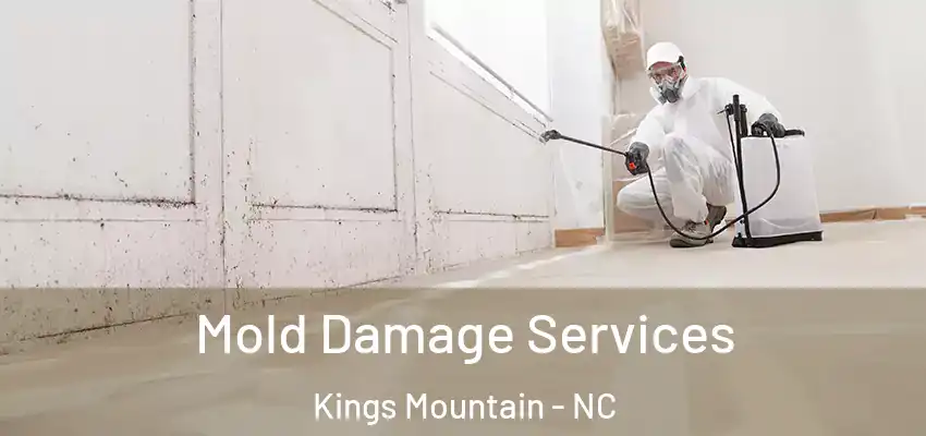  Mold Damage Services Kings Mountain - NC