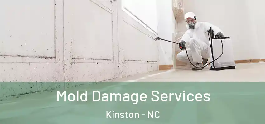  Mold Damage Services Kinston - NC