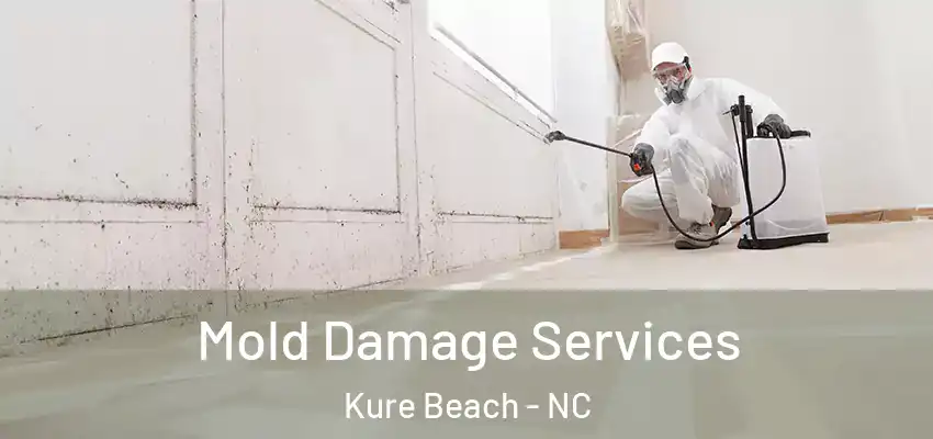  Mold Damage Services Kure Beach - NC