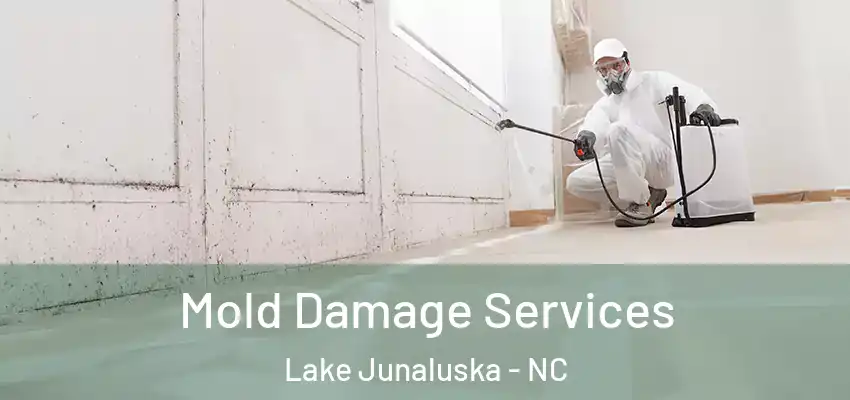  Mold Damage Services Lake Junaluska - NC