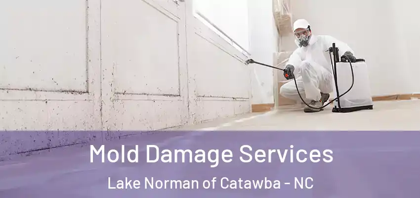  Mold Damage Services Lake Norman of Catawba - NC