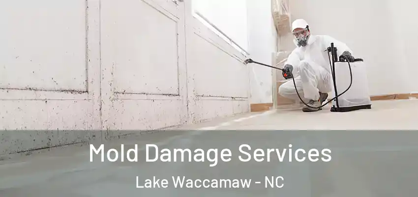  Mold Damage Services Lake Waccamaw - NC