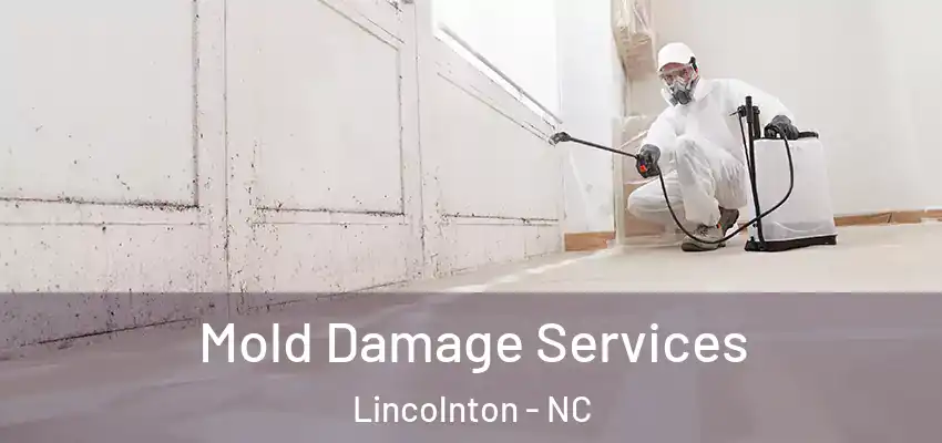 Mold Damage Services Lincolnton - NC