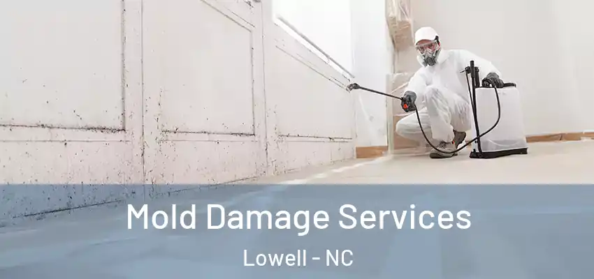 Mold Damage Services Lowell - NC