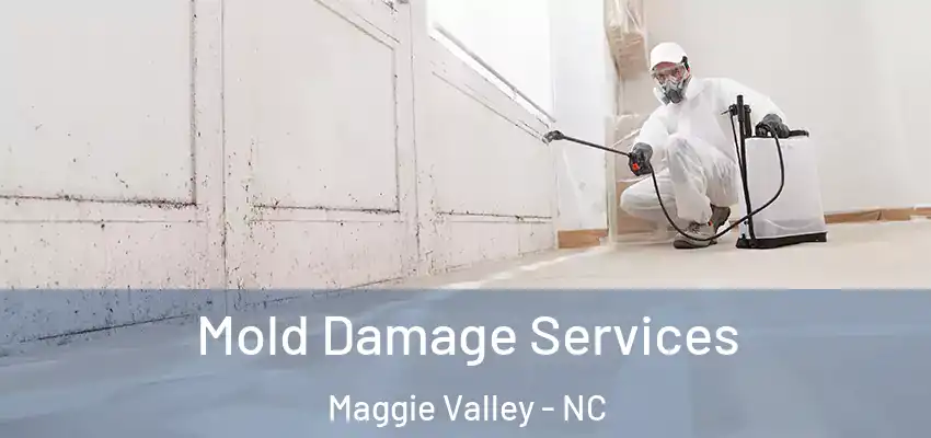 Mold Damage Services Maggie Valley - NC
