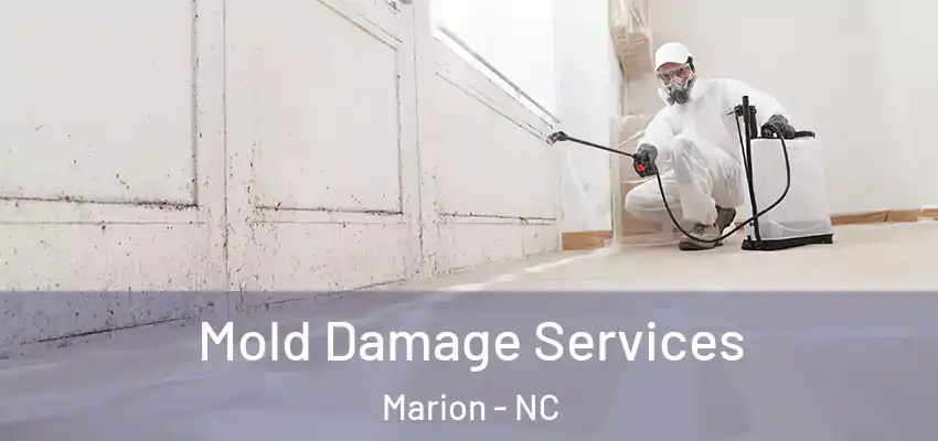 Mold Damage Services Marion - NC