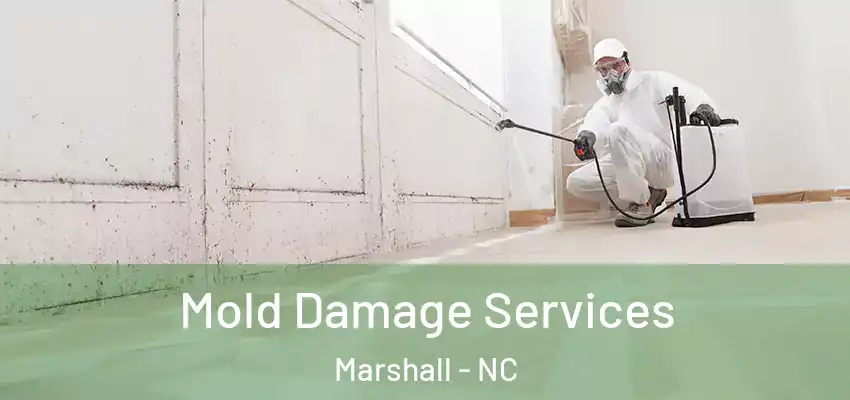 Mold Damage Services Marshall - NC