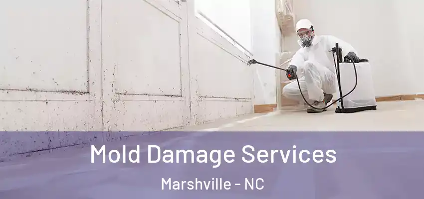 Mold Damage Services Marshville - NC