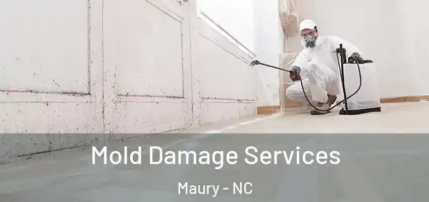 Mold Damage Services Maury - NC