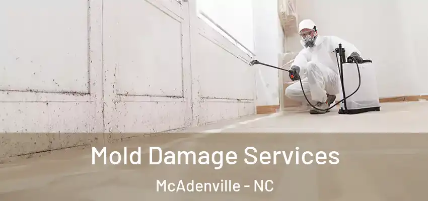  Mold Damage Services McAdenville - NC