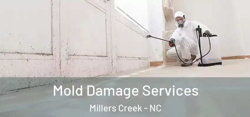  Mold Damage Services Millers Creek - NC