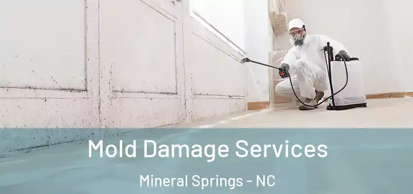 Mold Damage Services Mineral Springs - NC