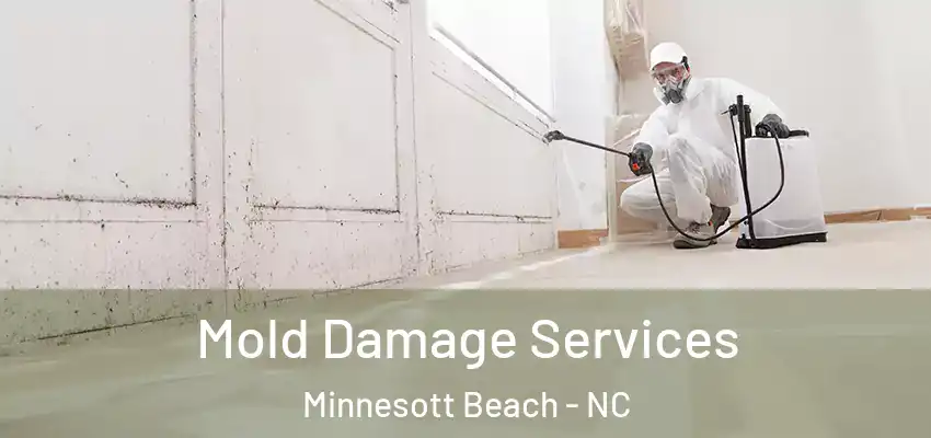  Mold Damage Services Minnesott Beach - NC
