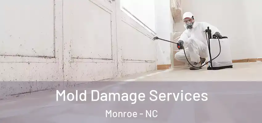 Mold Damage Services Monroe - NC