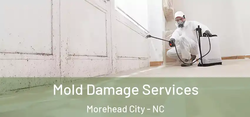 Mold Damage Services Morehead City - NC