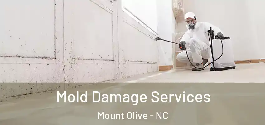 Mold Damage Services Mount Olive - NC