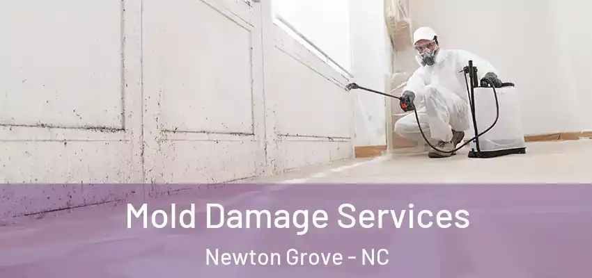  Mold Damage Services Newton Grove - NC