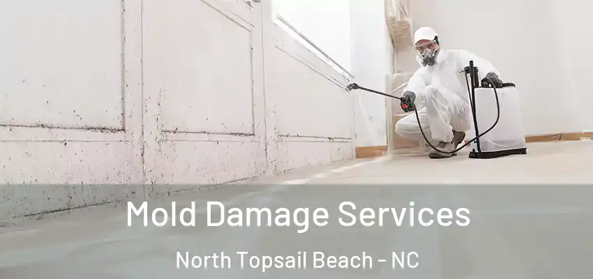  Mold Damage Services North Topsail Beach - NC