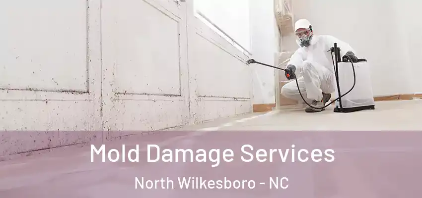  Mold Damage Services North Wilkesboro - NC
