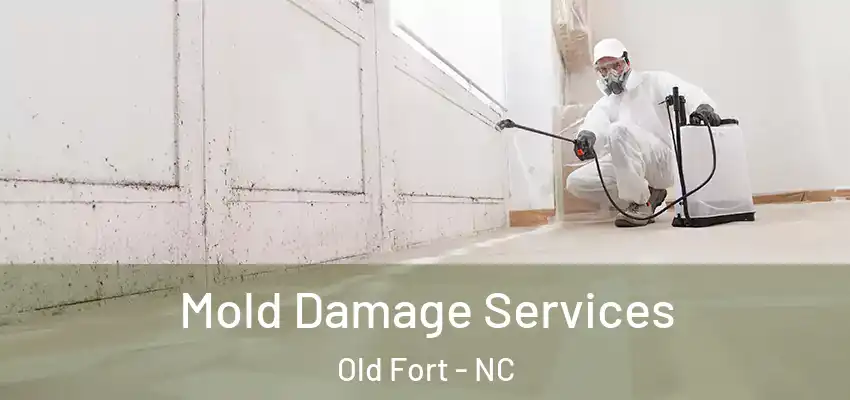  Mold Damage Services Old Fort - NC