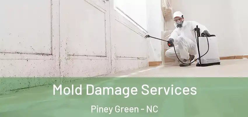  Mold Damage Services Piney Green - NC
