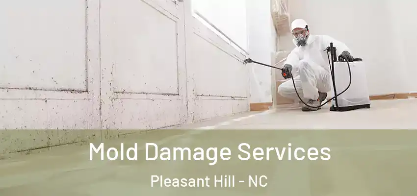 Mold Damage Services Pleasant Hill - NC