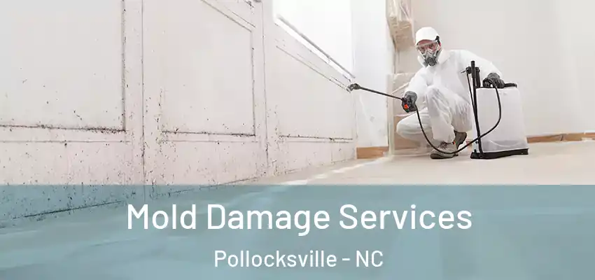  Mold Damage Services Pollocksville - NC