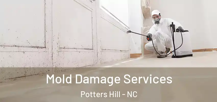 Mold Damage Services Potters Hill - NC