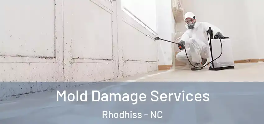 Mold Damage Services Rhodhiss - NC