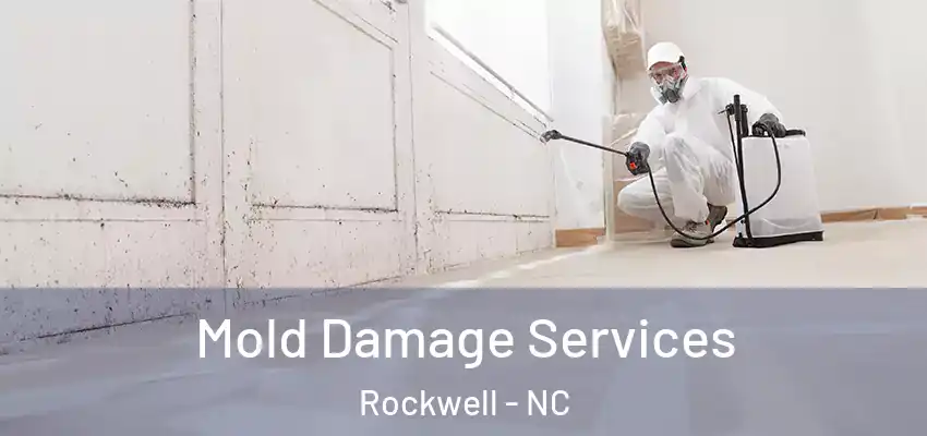 Mold Damage Services Rockwell - NC
