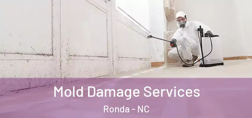 Mold Damage Services Ronda - NC