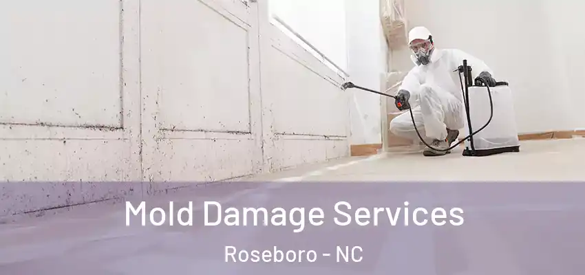 Mold Damage Services Roseboro - NC