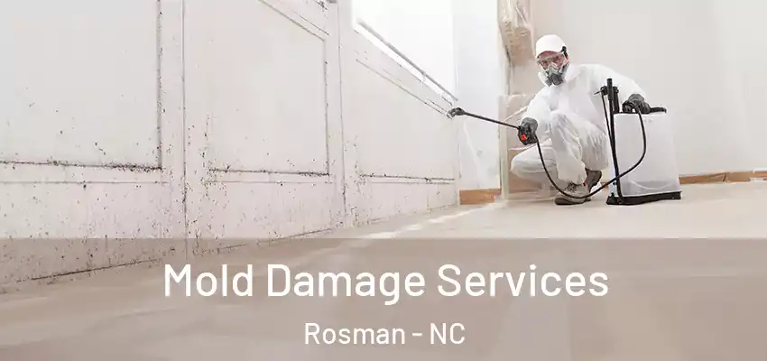 Mold Damage Services Rosman - NC