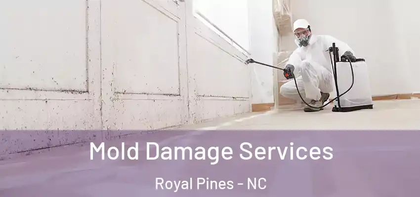  Mold Damage Services Royal Pines - NC