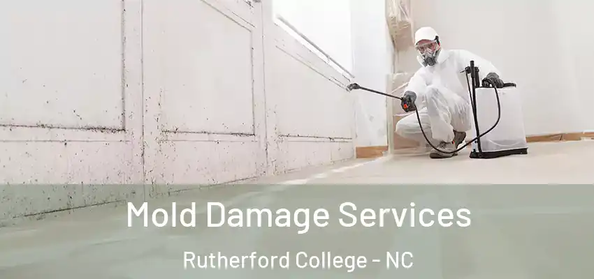 Mold Damage Services Rutherford College - NC