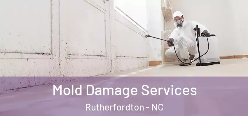 Mold Damage Services Rutherfordton - NC