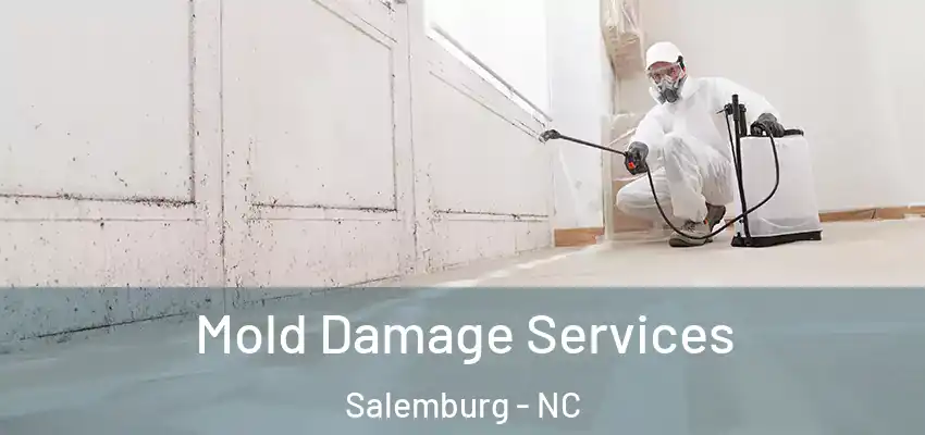 Mold Damage Services Salemburg - NC