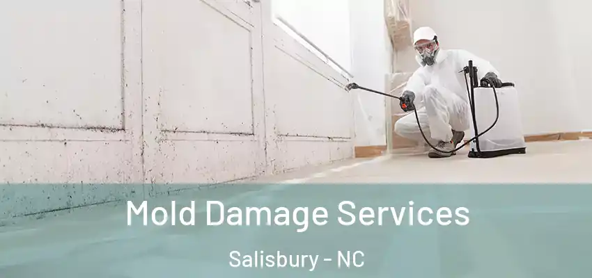 Mold Damage Services Salisbury - NC