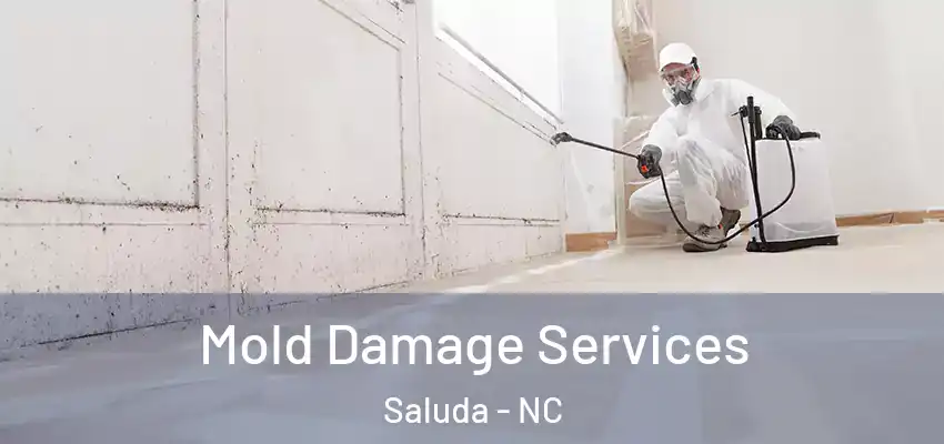 Mold Damage Services Saluda - NC