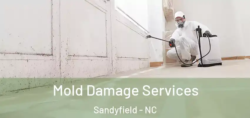  Mold Damage Services Sandyfield - NC