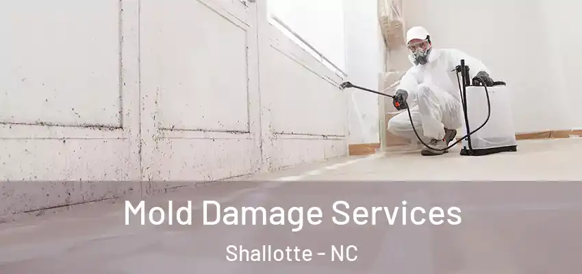 Mold Damage Services Shallotte - NC
