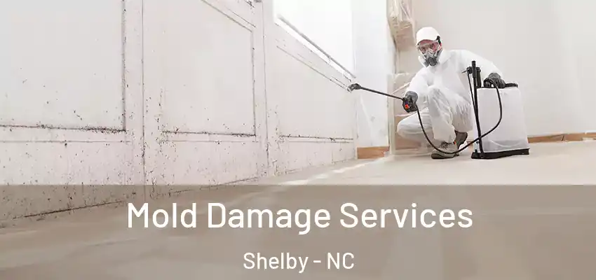 Mold Damage Services Shelby - NC