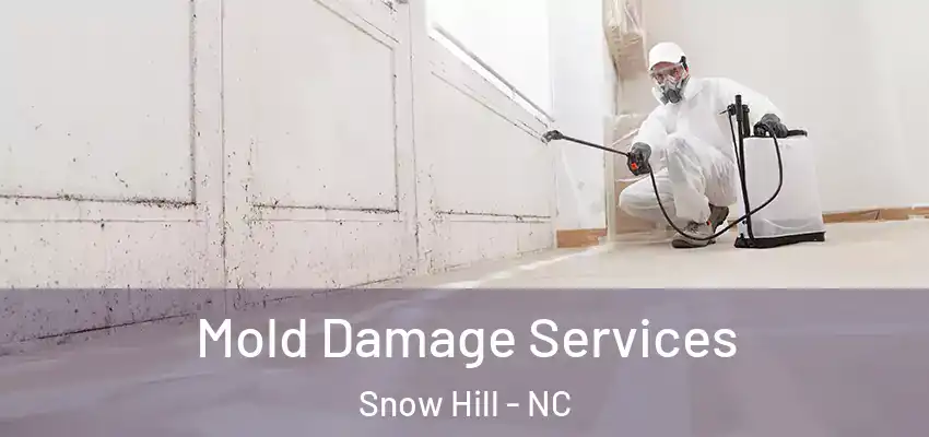 Mold Damage Services Snow Hill - NC